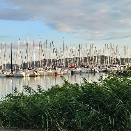 House * 블로톤퓌레드